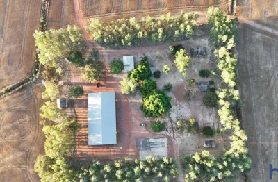 Fazenda com 205 alqueires para agricultura com dívidas em dois irmãos-to