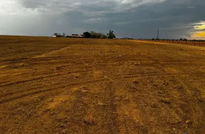 Fazenda à venda na Estrada Vicinal Municipal De Xinguara, Km 45, Área Rural de Xinguara, Xinguara