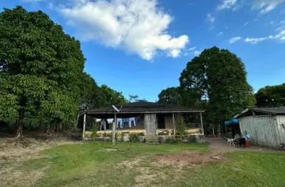 Fazenda com 100 alqueires para pecuária bem localizada em altamira-pa