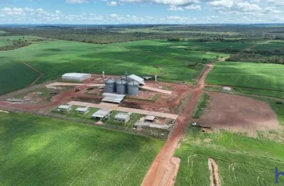 Fazenda com 1.300 alqueires de dupla aptidão na região de miranorte-to