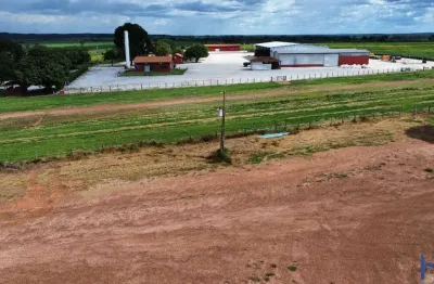 Fazenda com 1.004 alqueires de dupla aptidão em formoso do arguaia-to