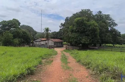 Fazenda com 94 alqueires de dupla aptidão em são valério do tocantins-to