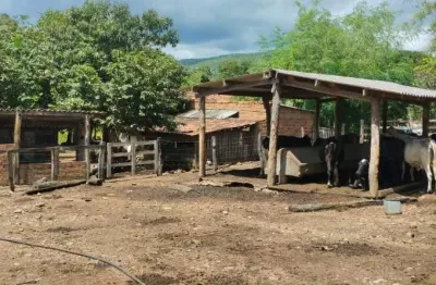 Fazenda à venda na Estrada Vicinal Municipal De Minaçu, Km 15, Zona Rural, Minaçu