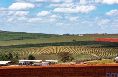 Fazenda de café com 1240 alqueires paulistas à venda em augusto de lima-mg
