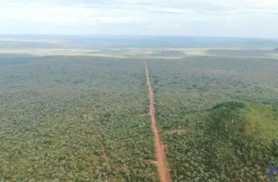 Fazenda ainda bruta com 4.200 hectares para lavoura em fernando falcão-ma