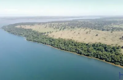 Excelente fazenda de dupla aptidão com 620 alqueires às margens do rio paraná em bataguassu-ms