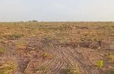 Fazenda para agricultura com 1.000 hectares margem de rio em mirador-ma