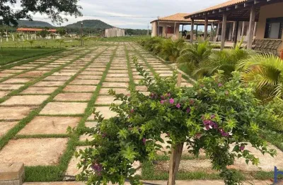 Fazenda com 1.005 alqueires para agricultura em lagoa do mato-ma