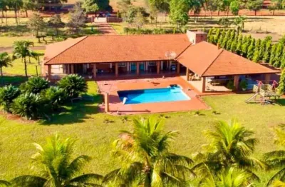 Fazenda de dupla aptidão com lavouras irrigadas às margens da rodovia em acreúna-go