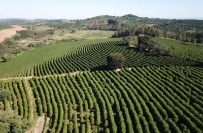 Fazenda prudutora de café de alta qualidade com 1.000 hectares em botelhos-mg