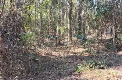 Fazenda com 1.214 alqueires paulistas de reflorestamento em juiz de fora-mg