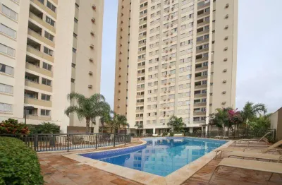 Apartamento para alugar em maringá, vila nova, com 2 quartos, com 69 m², solaris club residence