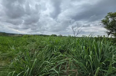 Terreno à venda na Rua Maria Aparecida Bragion Pignata, 185, Chácaras Aeroporto, Maringá