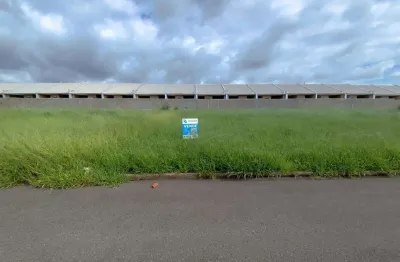 Terreno à venda na Avenida Projetada D, 532, Jardim dos Ipês, Sarandi