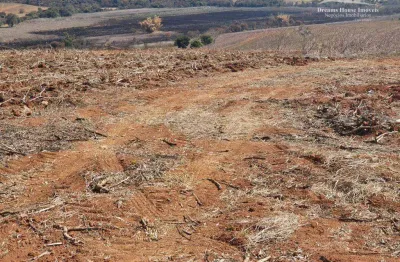 Fazenda à venda, 1452000 m² por r$ 18.000.000,00 - centro - são sebastião da bela vista/mg