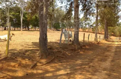 Fazenda à venda, 1282600 m² por r$ 8.000.000,00 - sao joao da mata - são joão da mata/mg