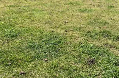 Fazenda à venda, 532400 m² por r$ 3.500.000,00 - faisqueira - pouso alegre/mg