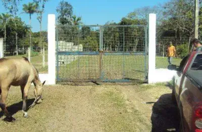 Sítio para venda em itanhaém, coronel, 1 dormitório, 1 banheiro
