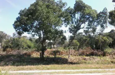 Terreno à venda em Luíza Mar Mirim, Itanhaém 