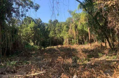 Terreno à venda em Luíza Mar Mirim, Itanhaém 
