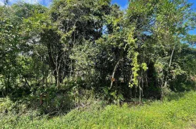Terreno à venda no Palmeiras II, Itanhaém 