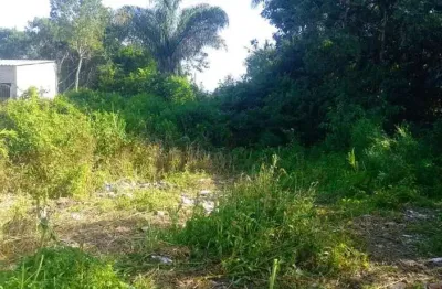 Terreno à venda no Balneário Gaivota, Itanhaém 