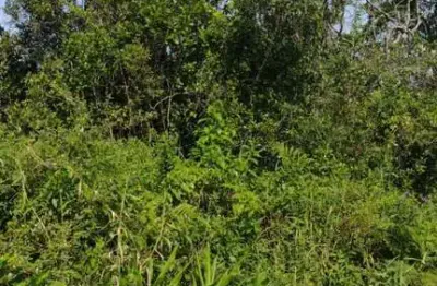 Terreno à venda no Balneário Gaivota, Itanhaém 