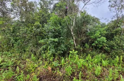 Terreno à venda no Jardim Coronel, Itanhaém 
