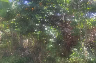Terreno à venda na Avenida Marginal, 11464, Jardim Suarão, Itanhaém