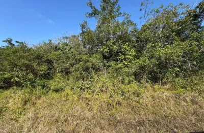 Terreno à venda na Avenida Marginal, 11464, Jardim Anchieta, Itanhaém