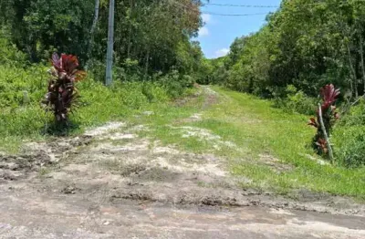 Terreno à venda na Avenida Marginal, 11464, Jardim Maramba, Itanhaém