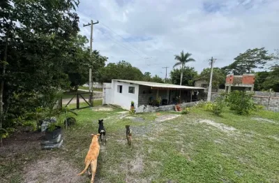 Chácara para Venda em Itanhaém, São Fernando, 3 dormitórios, 2 banheiros