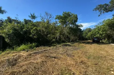 Terreno à venda na Avenida Marginal, 11464, Balneario Fênix, Itanhaém