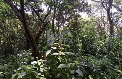 Terreno à venda em Balneário Marambaia, Itanhaém 