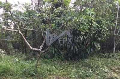 Chácara / sítio à venda no São Fernando, Itanhaém 