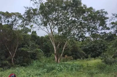 Terreno à venda no Balneário Gaivota, Itanhaém 