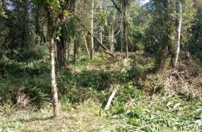 Chácara / sítio à venda no Jardim Coronel, Itanhaém 