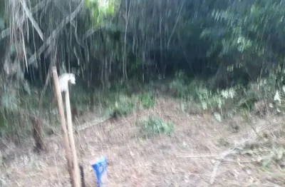 Terreno à venda no Bopiranga, Itanhaém 