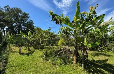 Terreno à venda no Jardim das Palmeiras, Itanhaém 