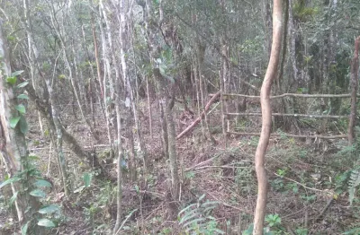 Terreno à venda no Balneário Gaivota, Itanhaém 