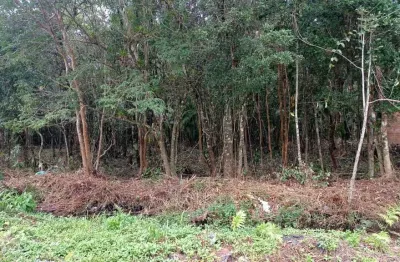 Terreno à venda no Bopiranga, Itanhaém 