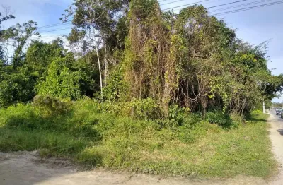 Terreno à venda no Jardim Coronel, Itanhaém 