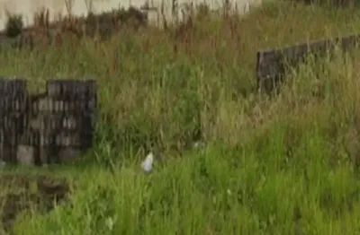 Terreno à venda no Balneário Tupy, Itanhaém 