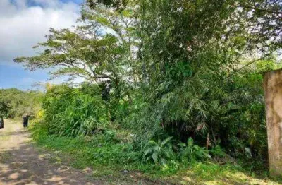 Terreno à venda no Jardim Tropical, Itanhaém 
