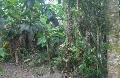 Terreno à venda em Nossa Senhora do Sion, Itanhaém 