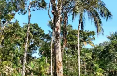 Terreno à venda no Balneário Gaivota, Itanhaém 