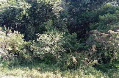 Terreno à venda no São Fernando, Itanhaém 