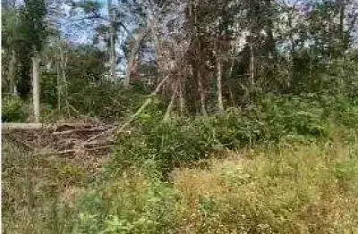 Terreno à venda no Jardim Coronel, Itanhaém 