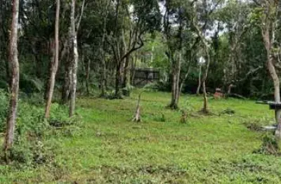 Terreno à venda no Jardim Regina, Itanhaém 