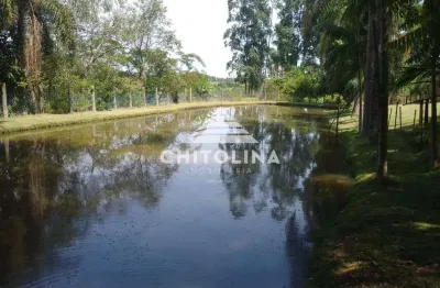 Chácara com 4 dormitórios à venda, 24200 m² por r$ 950.000,00 - mato seco - itapetininga/sp